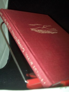 Artikelbild des Artikels “Lavaströme und Aschenregen : die vulkanische Erscheinungen und Kräfte, mit Berichten von den grössten Vulkankatastrophen der Welt / Herbert Butze “