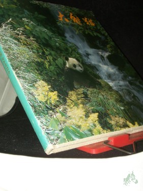 Product image of the product “Der grosse Panda ”