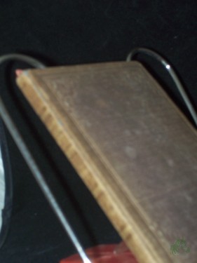 Artikelbild des Artikels “Die Frithjofs Sage. Aus dem Schwedischen von Gottlieb Mohnike “