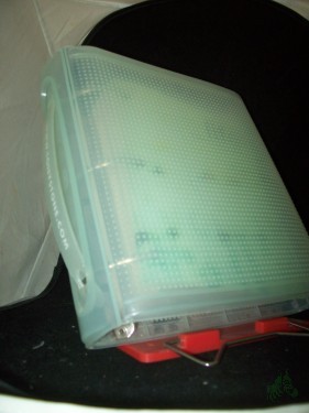 Artikelbild des Artikels “life - www.tonystone.com “