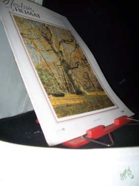 Artikelbild des Artikels “10/1954 “