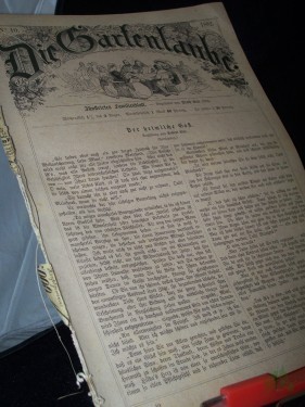 Artikelbild des Artikels “10/1882 “