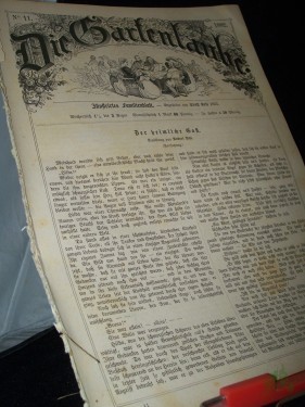 Artikelbild des Artikels “11/1882 “