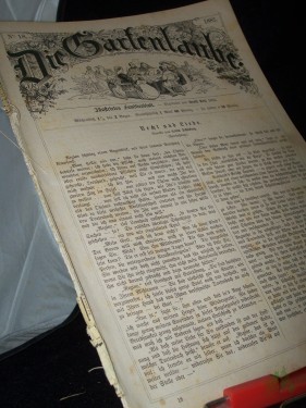 Artikelbild des Artikels “18/1882 “