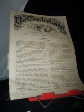 Artikelbild des Artikels “44/1882 “