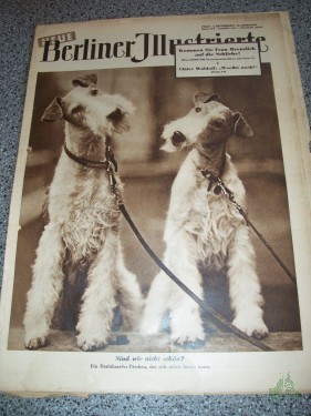 Artikelbild des Artikels “41/1953 SIND WIR NICHT SCHÖN? EIN DRAHTHAARFOX TERRIER PÄRCHEN “