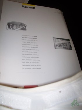 Artikelbild des Artikels “34/2003 Universita della Svizzera italiana “