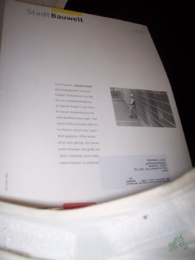 Artikelbild des Artikels “12/2003 Soziale Stadt “