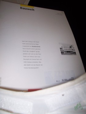 Artikelbild des Artikels “16/2003 Bundesviertel “