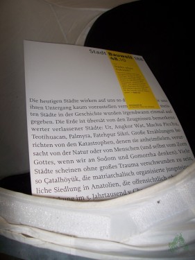 Artikelbild des Artikels “48/2010 Städte ohne Zukunft “