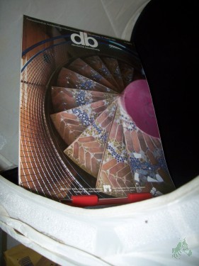 Artikelbild des Artikels “8/1985 “