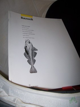 Artikelbild des Artikels “13/1997 Unter der Haut “