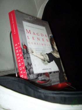 Product image of the product “Magdalenes Geheimnis : historischer Roman / Christina Auerswald ”