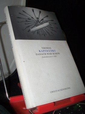 Artikelbild des Artikels “Danach war schon : Gottesbeweise I - VIII / Thomas Kapielski “