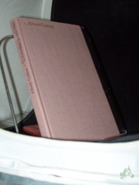 Product image of the product “Zwischen Ja und Nein : frühe Schriften / Albert Camus. [Aus d. Franz. übertr. von Guido G. Meister... Hrsg. u. mit e. Nachw. von Brigitte Sändig] ”