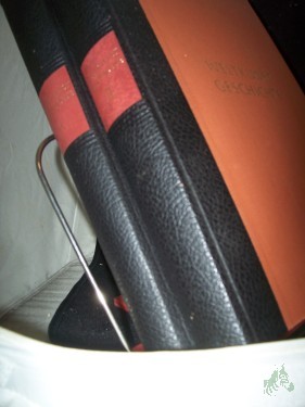 Artikelbild des Artikels “Weltkunstgeschichte / 2 Bände, Hrsg. von Wolfgang Braunfels. [Mitarb.: Ingeborg Bolz-Augenstein u.a.] “