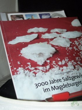 Artikelbild des Artikels “3000 Jahre Salzgewinnung im Magdeburger Land “