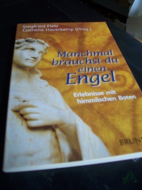 Artikelbild des Artikels “Manchmal brauchst du einen Engel : Erlebnisse mit himmlischen Boten / Siegfried Fietz/Cornelia Haverkamp (Hrsg.) “