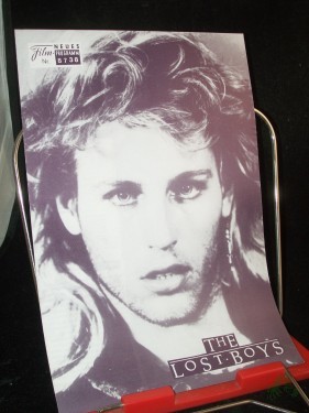 Artikelbild des Artikels “Nr. 8738 The Lost Boys “