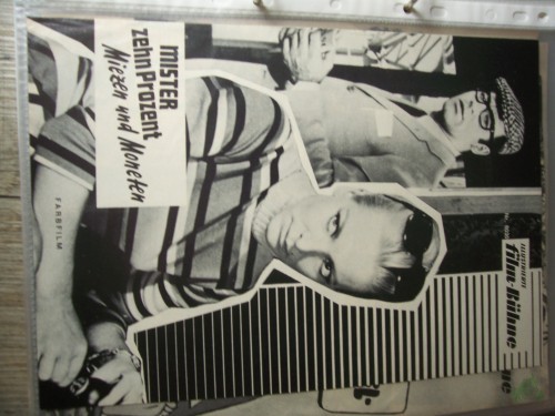 Artikelbild des Artikels “Nr. 8030, o.J., Mister zehn Prozent - Mietzen und Moneten “