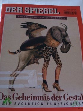 Artikelbild des Artikels “Das Geheimnis der Gestalt “