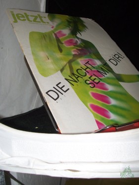 Artikelbild des Artikels “Nr. 31, DAS AUSGEHHEFT “