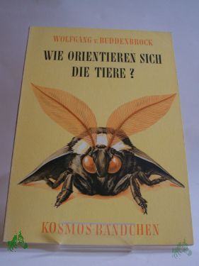 Product image of the product “Wie orientieren sich die Tiere? / Wolfgang v. Buddenbrock ”