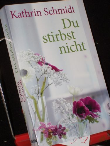 Artikelbild des Artikels “Du stirbst nicht : Roman / Kathrin Schmidt “