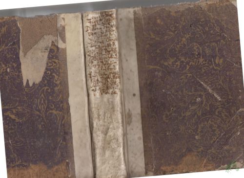 Product image of the product “Joh. Georg. Leuckfelds, Past. Primar. Gröning. Antiquitates Ilfeldenses, Oder Historische Beschreibung des Closters Ilfeld, Praemonstratenser-Ordens ”