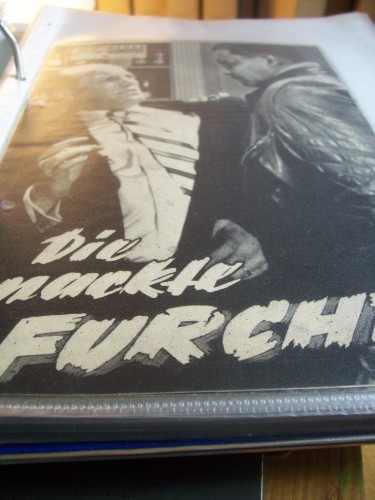 Artikelbild des Artikels “Nr. 1929 Die nackte Furcht “