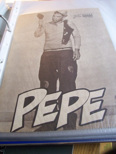 Artikelbild des Artikels “Nr. 2266 PEPE “