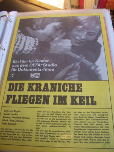 Artikelbild des Artikels “Die Kraniche fliegen im Keil “