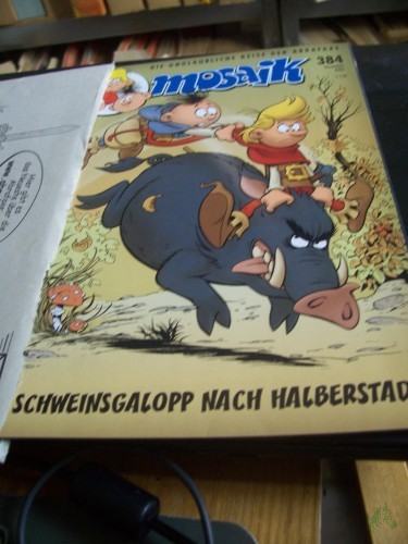 Artikelbild des Artikels “Dezember 2007, Im Schweinsgalopp nach Halberstadt “