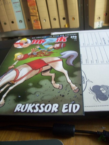 Artikelbild des Artikels “Dezember 2008, Rukssor Eid “