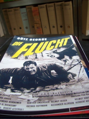 Artikelbild des Artikels “Nr 464 Die Flucht “