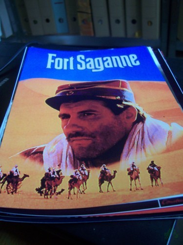 Artikelbild des Artikels “Nr. 482 Fort Saganne “