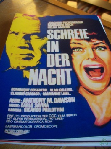 Artikelbild des Artikels “Nr. 817 Schreie in der Nacht “
