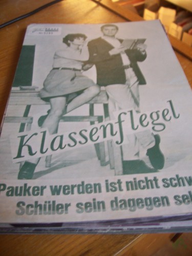Artikelbild des Artikels “Nr. 5289 Klassenflegel “