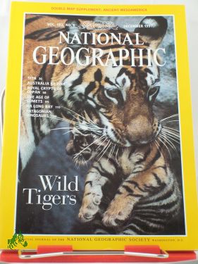 Artikelbild des Artikels “12/1997 Wild Tigers “