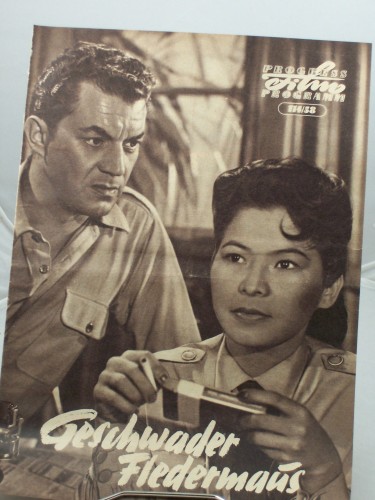 Artikelbild des Artikels “114/58, Geschwader Fledermaus “