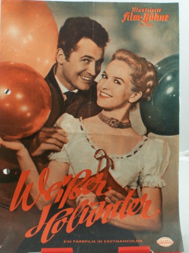 Artikelbild des Artikels “Nr. 3850, Weißer Holunder “