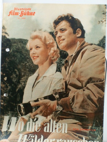 Artikelbild des Artikels “Nr. 3400, Wo die alten Wälder rauschen “