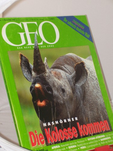 Artikelbild des Artikels “11/1995, Die Kolosse kommen “