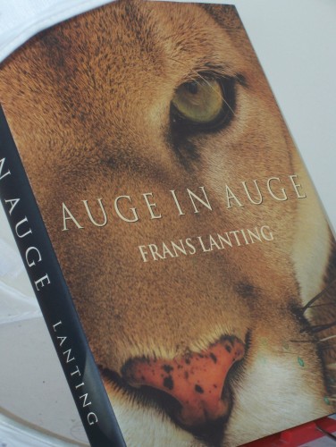 Artikelbild des Artikels “Auge in Auge : Begegnungen in der Welt der Tiere / Frans Lanting. Hrsg. von Christine Eckstrom. Dt. Übers.: Gabriele-Sabine Gugetzer “