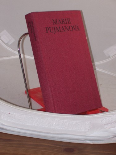 Artikelbild des Artikels “Spiel mit dem Feuer : Roman / Marie Pujmanova. Aus d. Tschech. von Günter Jarosch “