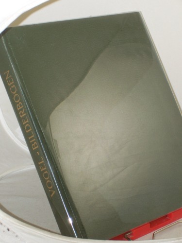 Artikelbild des Artikels “Bilderbogen, Papiersoldat, Würfelspiel und Lebensrad : volkstüml.
Graphik für Kinder aus 5 Jh. / Heiner Vogel. Aufnahmen Joachim Petri “