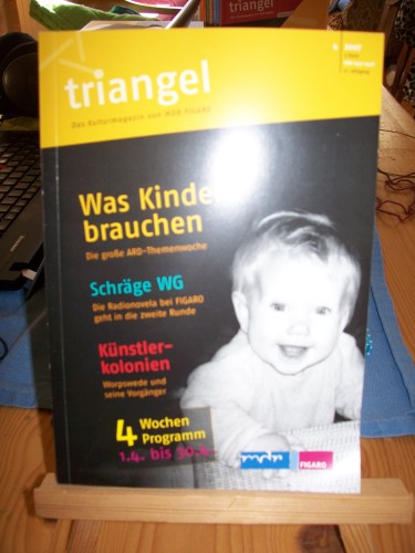 Artikelbild des Artikels “Triangel 4/2007, Was Kinder brauchen “