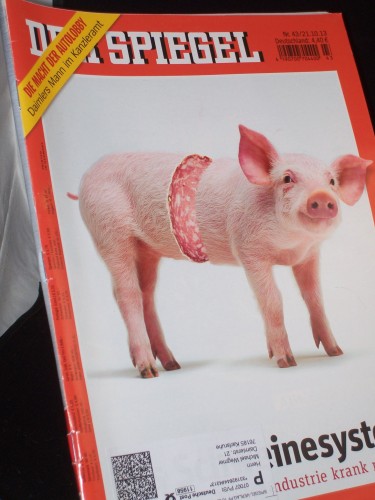 Artikelbild des Artikels “43/2013, Schweinesystem “