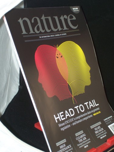 Artikelbild des Artikels “Vol 515, No 7527, November 2014, Head to Tail “