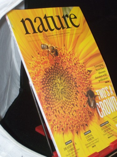 Artikelbild des Artikels “Vol 506, No. 7488, Februar 2014, Two´s a Crowd “